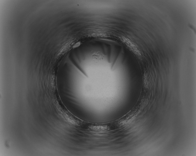 X0000097800449200803281039