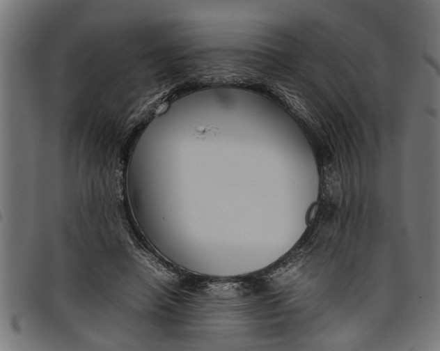 X0000097800450200803281039