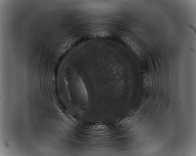 X0000097800451200803281039