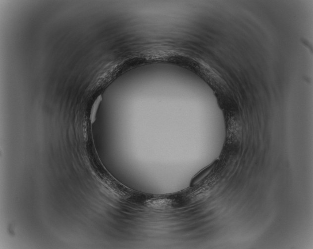 X0000097800452200803281039