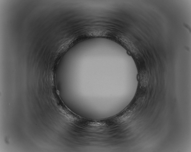 X0000097800453200803281039