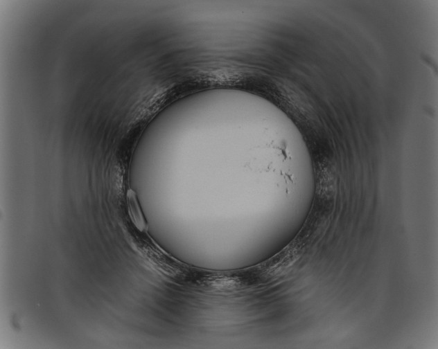 X0000097800456200803281039