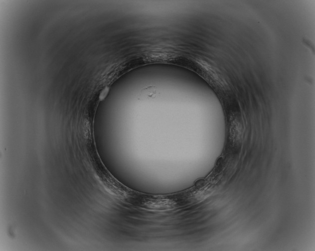 X0000097800459200803281039