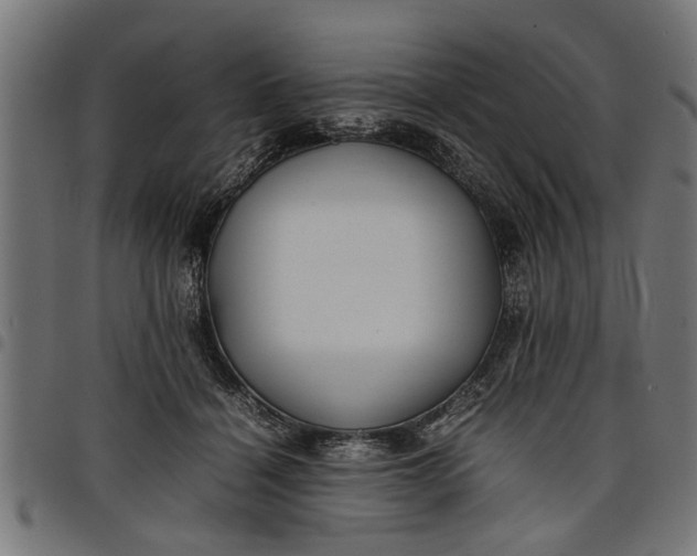 X0000097800460200803281039