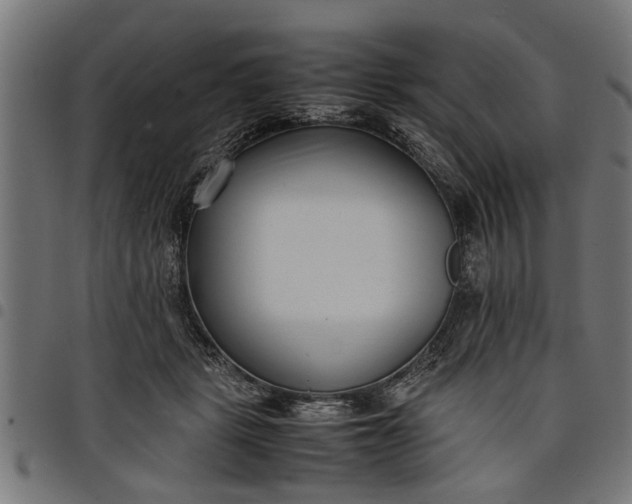 X0000097800461200803281039