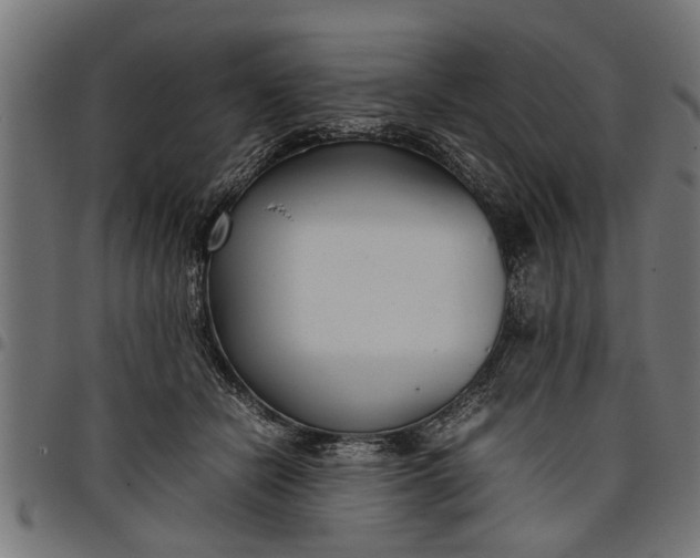 X0000097800462200803281039