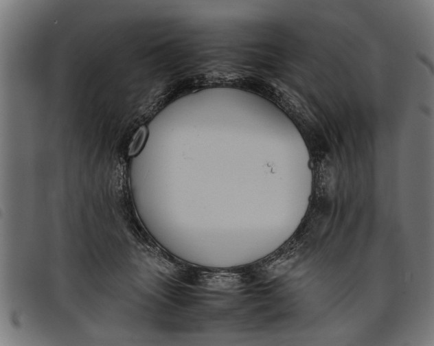 X0000097800463200803281039