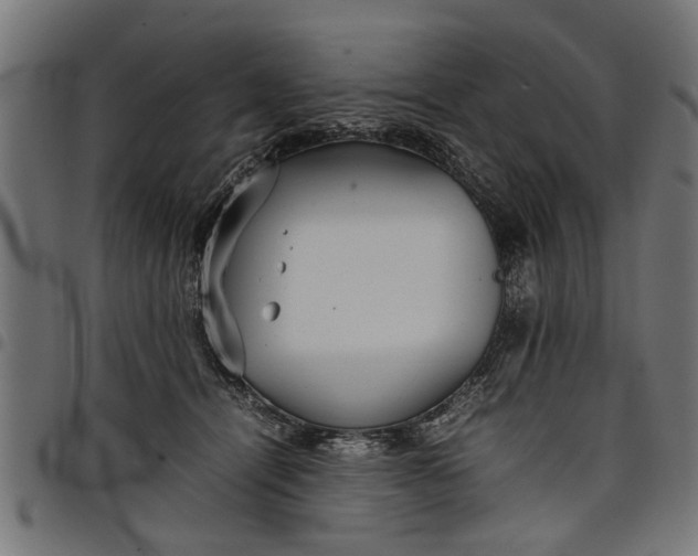 X0000097800464200803281039