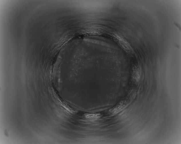 X0000097800465200803281039