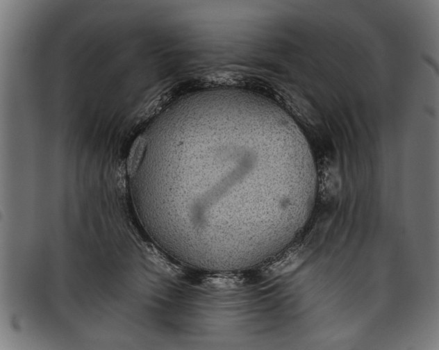 X0000097800466200803281039