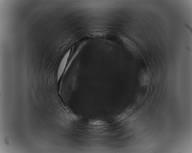 X0000097800467200803281039