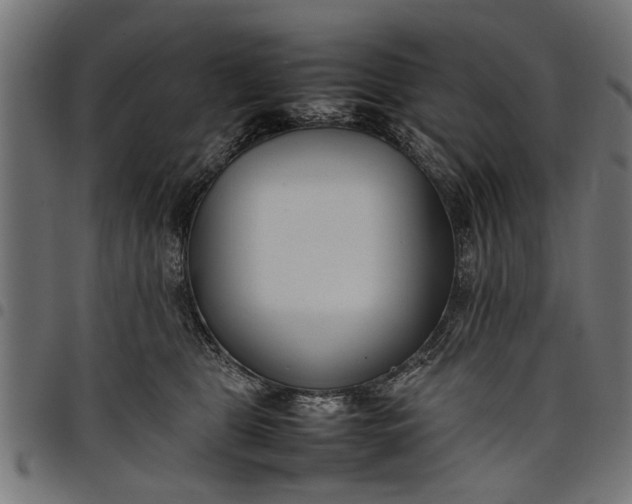 X0000097800469200803281039