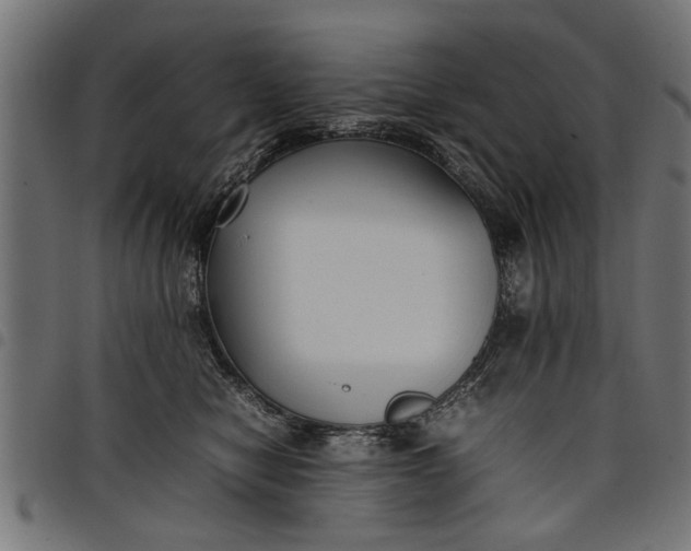 X0000097800470200803281039