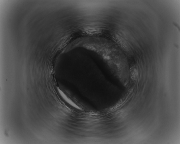 X0000097800471200803281039