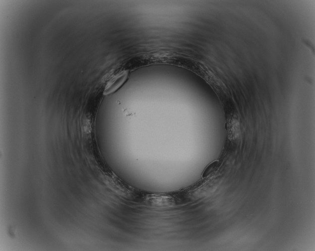 X0000097800472200803281039