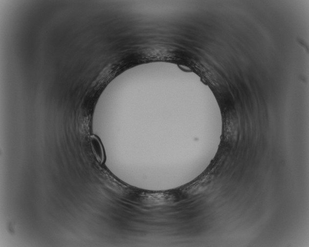 X0000097800473200803281039