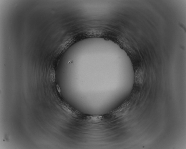 X0000097800474200803281039