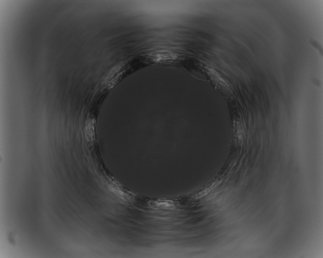 X0000097800475200803281039