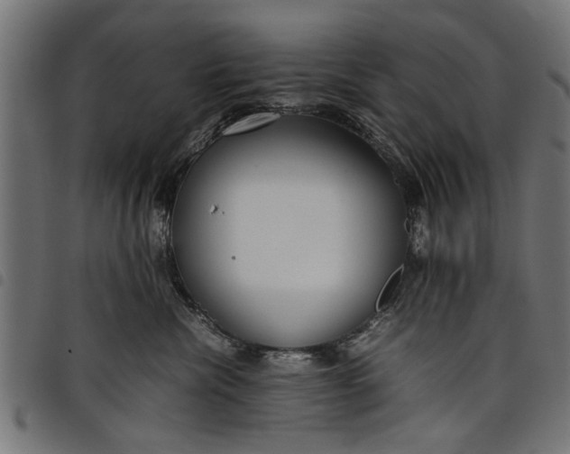 X0000097800476200803281039