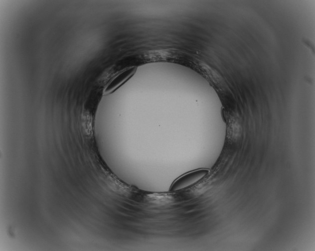 X0000097800477200803281039