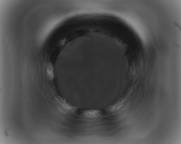 X0000097800479200803281039