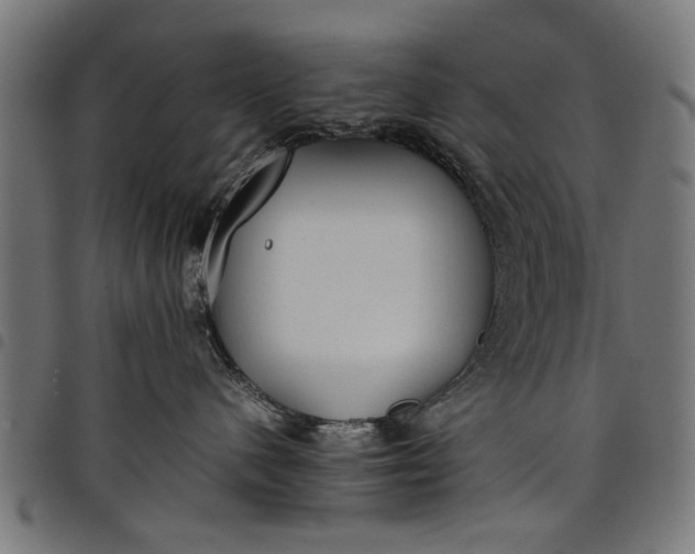 X0000097800480200803281039