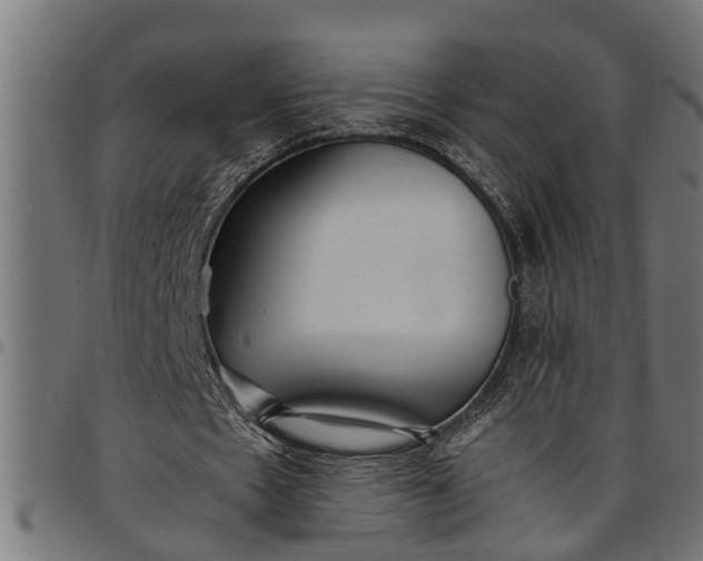 X0000097800481200803281039