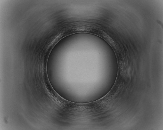 X0000097800482200803281039