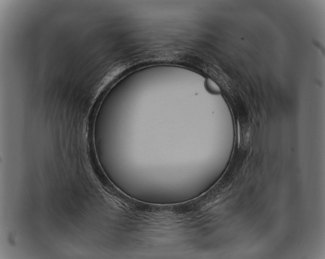 X0000097800483200803281039