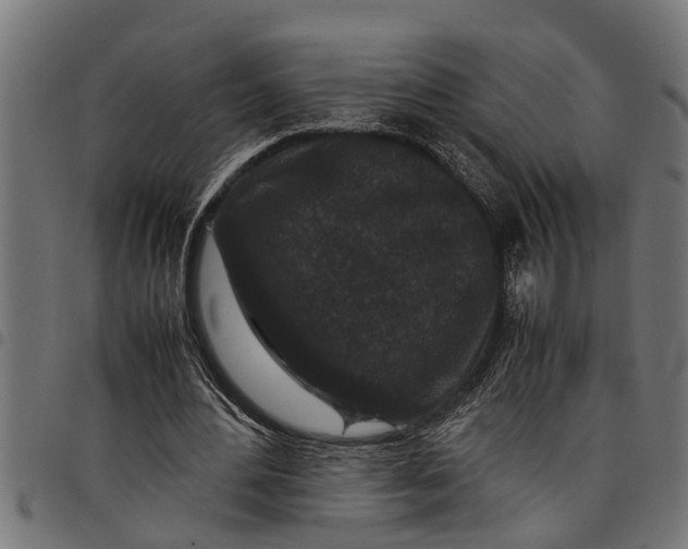 X0000097800484200803281039