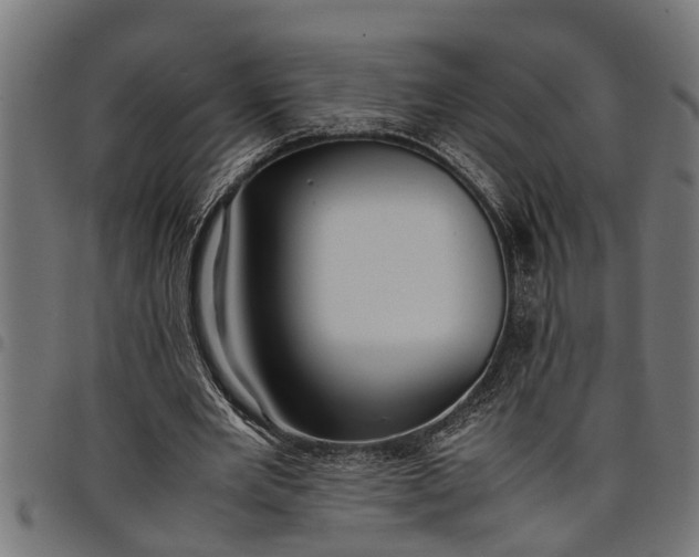 X0000097800485200803281039