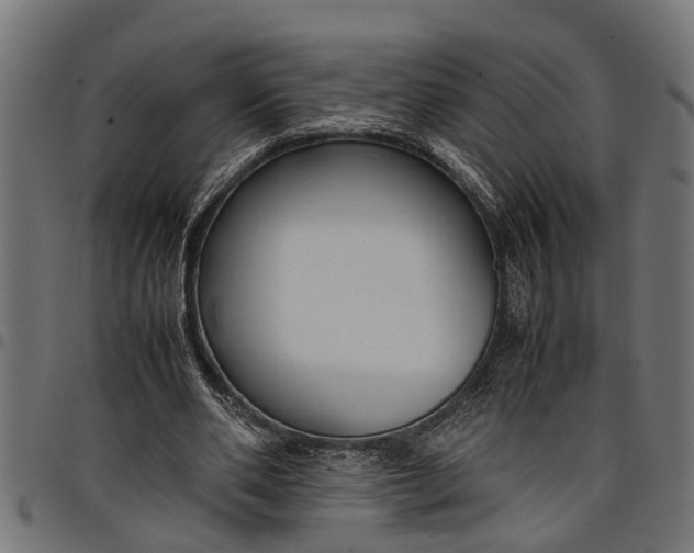 X0000097800486200803281038