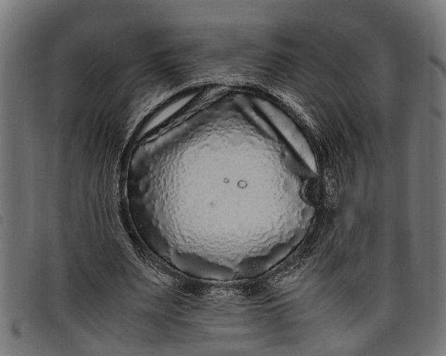 X0000097800487200803281038