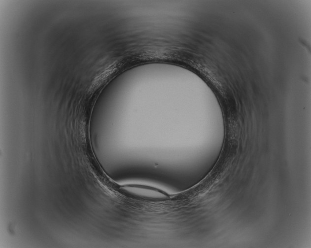 X0000097800489200803281038