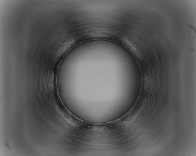 X0000097800490200803281038