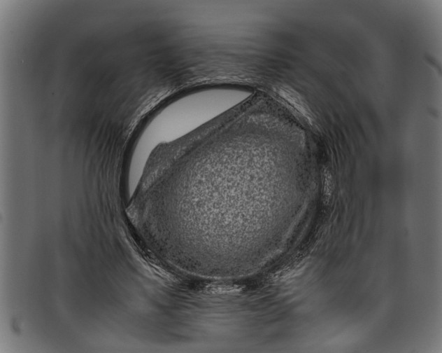 X0000097800491200803281038