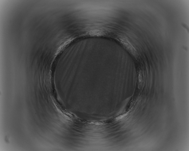 X0000097800492200803281038