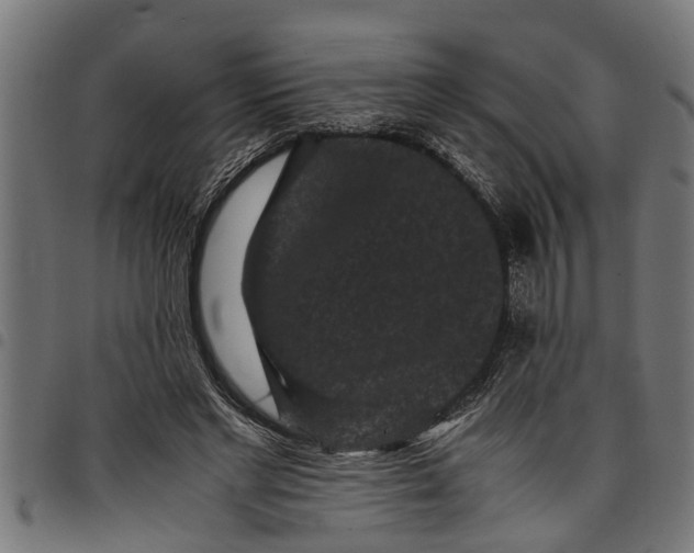 X0000097800493200803281038