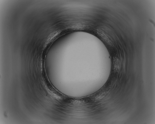 X0000097800494200803281038