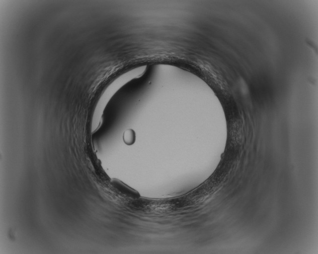 X0000097800495200803281038