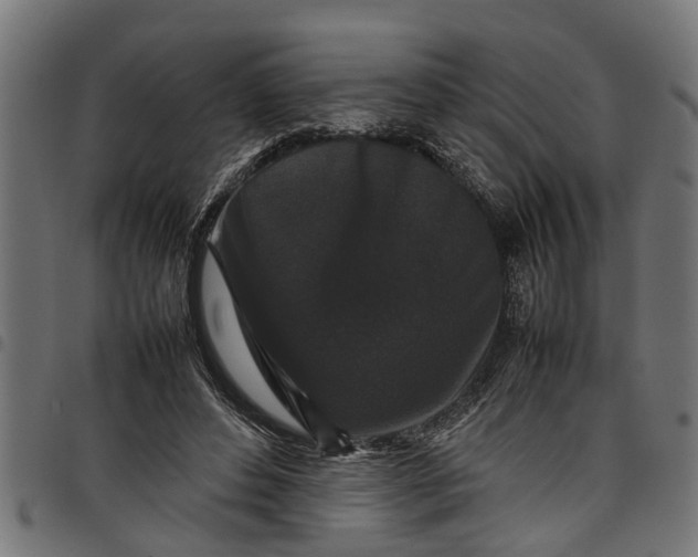 X0000097800496200803281038