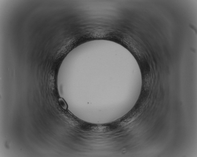 X0000097800497200803281038