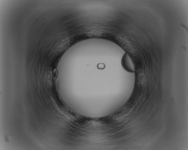 X0000097800498200803281038