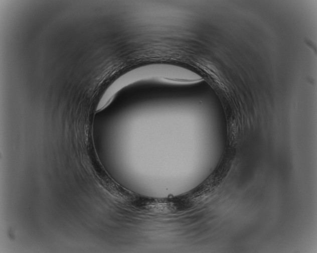 X0000097800499200803281038