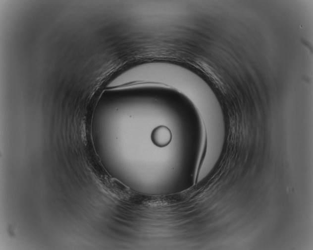 X0000097800500200803281038