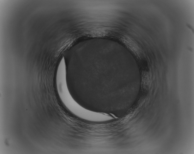 X0000097800501200803281038