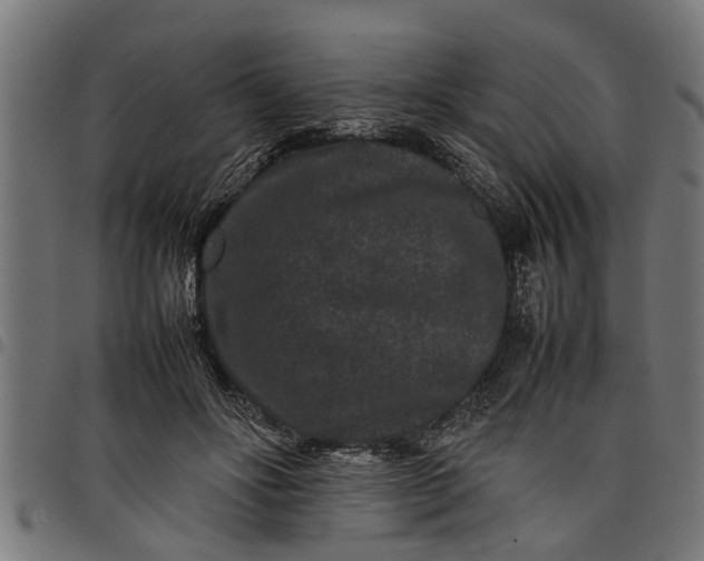 X0000097800502200803281038