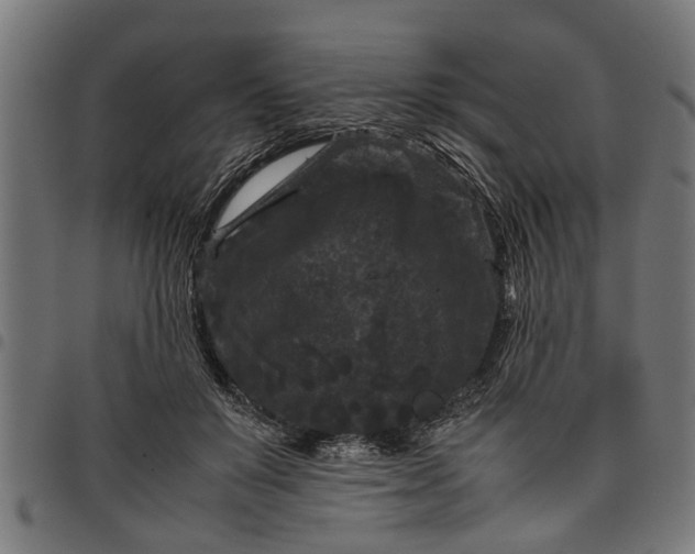 X0000097800503200803281038