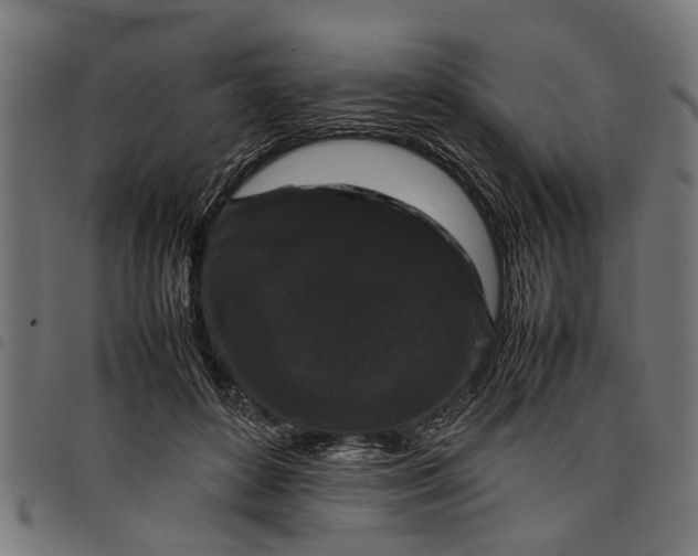 X0000097800504200803281038