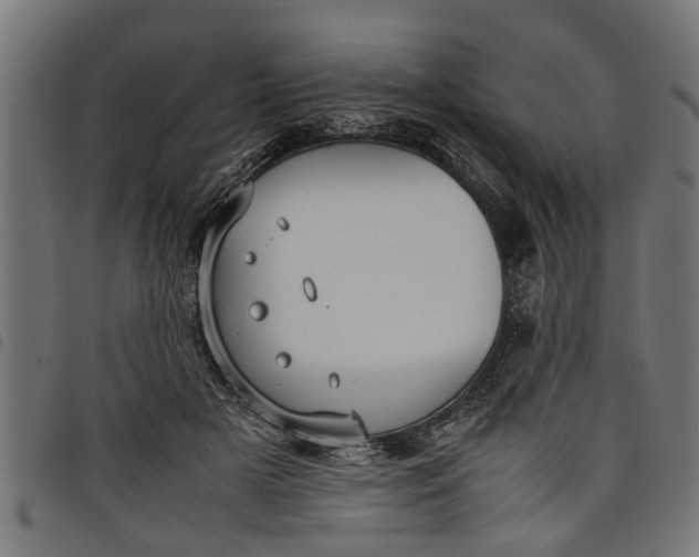 X0000097800505200803281038